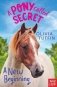 Pony Called Secret: a New Beginning фото книги маленькое 2