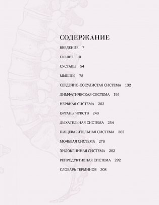 Анатомия. С иллюстрациями из классической «Анатомии Грея» фото книги 2