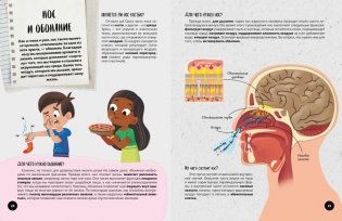 Что? Как? Почему? Мои первые знания про ТЕЛО ЧЕЛОВЕКА (с постером) фото книги 6