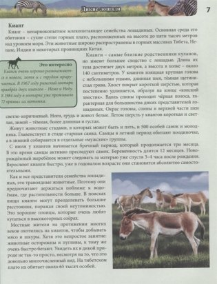 Энциклопедия. Лошади фото книги 3