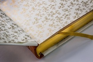 Лисъ Патрикеич фото книги 5