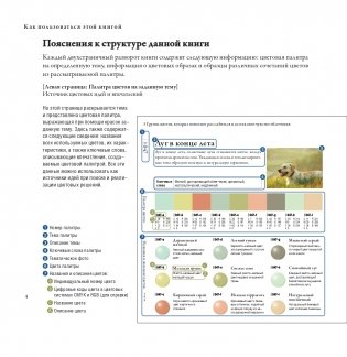 Сочетания цветов на практике фото книги 4