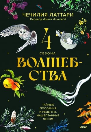 4 сезона волшебства. Тайные послания и рецепты, нашептанные лесом фото книги