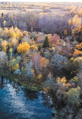 Река памяти фото книги 16