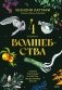 4 сезона волшебства. Тайные послания и рецепты, нашептанные лесом фото книги маленькое 2