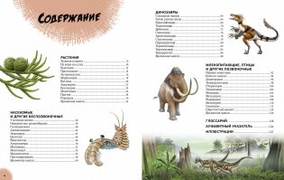 Эра динозавров. Жизнь в доисторические времена фото книги 2