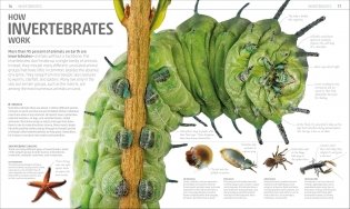 Explanatorium of Nature фото книги 5