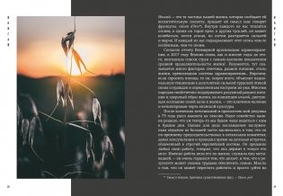 Японизм: философия страны восходящего солнца (комплект) фото книги 9