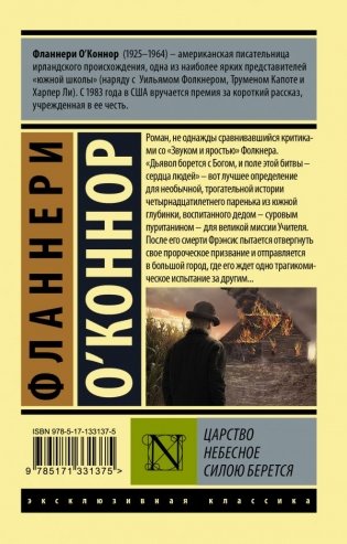 Царство Небесное силою берется фото книги 2