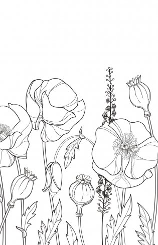 Зачарованный сад. Мини-раскраска-антистресс для творчества и вдохновения (обновленное издание) фото книги 11