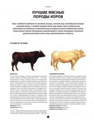 Мясо. Полное иллюстрированное руководство фото книги 5