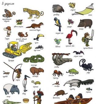 Вокруг света. Найди и покажи фото книги 3