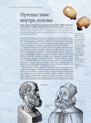 Мозг. Большая энциклопедия фото книги 9