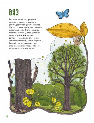 Деревья фото книги 4