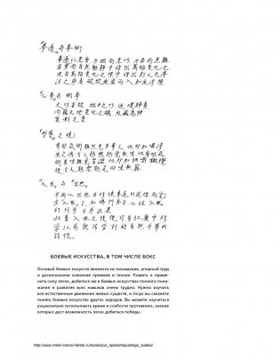 Путь опережающего кулака фото книги 9