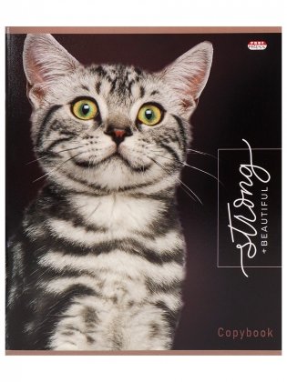 Тетрадь "Благородные кошки", А5, 48 листов, клетка фото книги 3