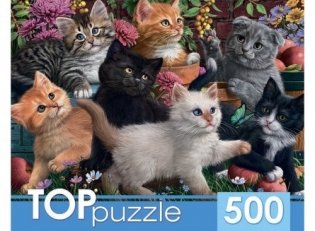 Пазлы "Toppuzzle. Игривые котята", 500 элементов фото книги