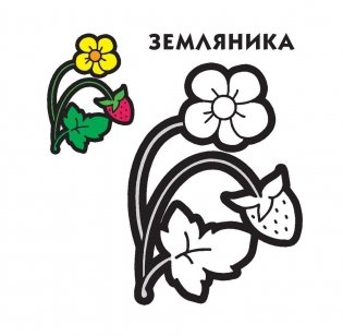 Раскраска. Зеленая фото книги 4