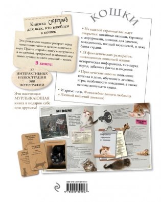 Кошки. Книжка-сюрприз для всех, кто влюблен в кошек фото книги 2