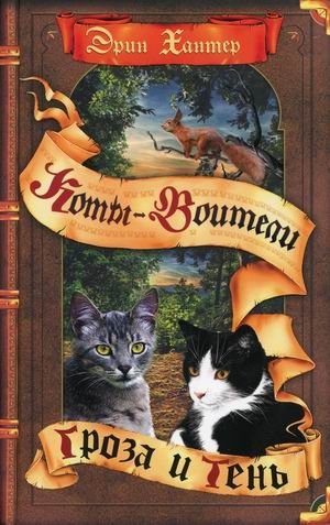 Гроза и тень фото книги