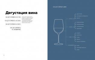 Wine Folly. Вино. Практический путеводитель фото книги 5