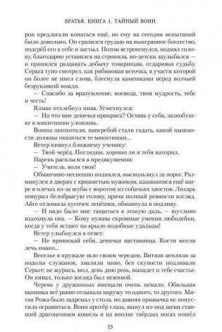 Братья. Книга 1. Тайный воин фото книги 9