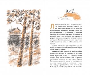 Лисиный перстенек фото книги 2