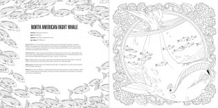 Animals Coloring Book Box Set фото книги 11