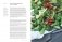 OTTOLENGHI. Поваренная книга фото книги маленькое 6