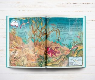 Большой атлас подводного мира в картинках фото книги 4