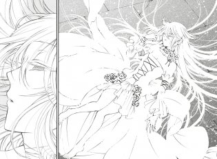 Сердца Пандоры. Книга 9 фото книги 2