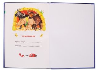 Телефон фото книги 2