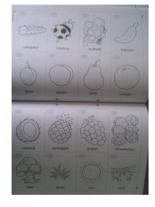 Longman Young Children‘s Picture Dictionary: Activity Resource Book фото книги 3