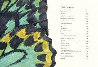 Загадочный мир бабочек фото книги 2