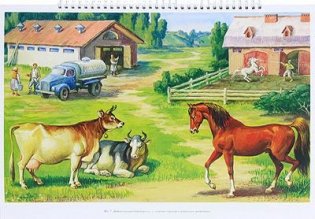 Добро пожаловать в экологию. Серия демонстрационных картин для занятий с детьми 4-5 лет фото книги 3