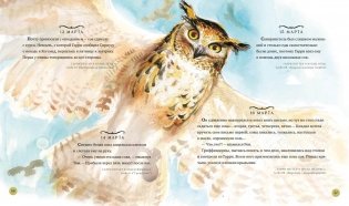 Гарри Поттер. Год с волшебством фото книги 4