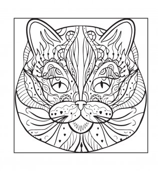 Енотики и котики. Рисунки для медитаций фото книги 5