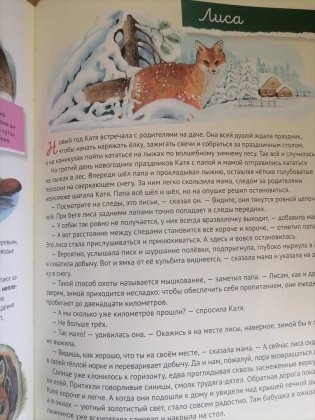 Кто где живёт? Звери и птицы леса фото книги 7