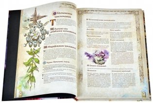 Fateforge: Летописи Эаны. Книга 2. Гримуар фото книги 4