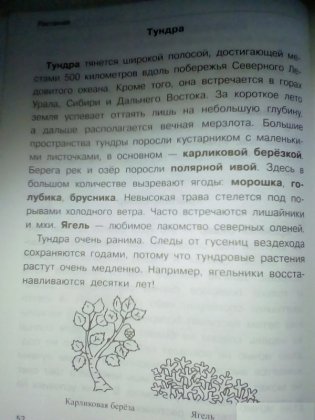 Растения: деревья, кустарники, травы фото книги 3