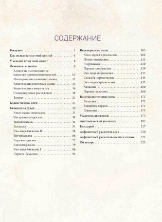 Анатомия балансов на руках и перевернутых поз фото книги 2