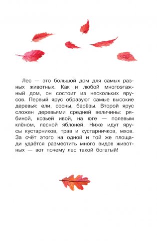 Кто живёт в лесу? фото книги 6
