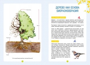Лесные животные фото книги 3