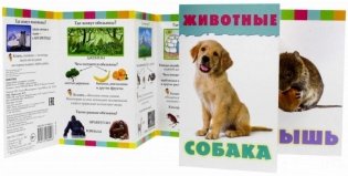 Книжка-гармошка. Животные. Узнай! Придумай! Расскажи! фото книги 2