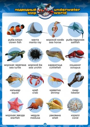 Говорящий англо-русский и русско-английский словарь с картинками (книга для говорящей ручки) фото книги 8