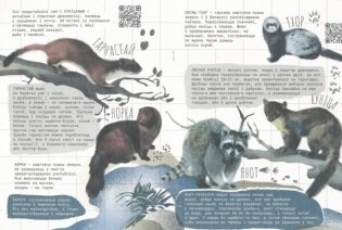 10 пытанняў пра звяроў фото книги 2