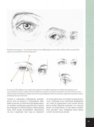 Школа художника. Портрет фото книги 4