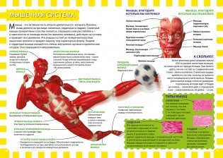 Тело человека фото книги 3