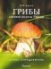 Атлас-определитель. Грибы средней полосы России фото книги маленькое 2