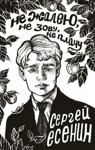 Не жалею, не зову, не плачу... фото книги